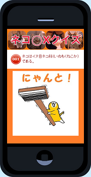 猫マルバツクイズ