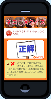 猫マルバツクイズ